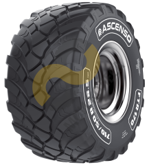 Ascenso FTR170