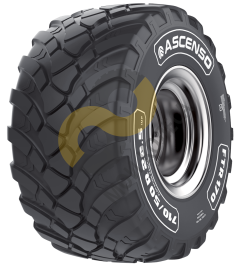 Ascenso FTR170 560/60 R22.5 86D TL